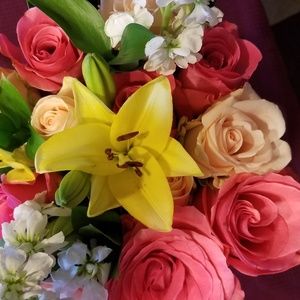 Meet your Posher, Karin